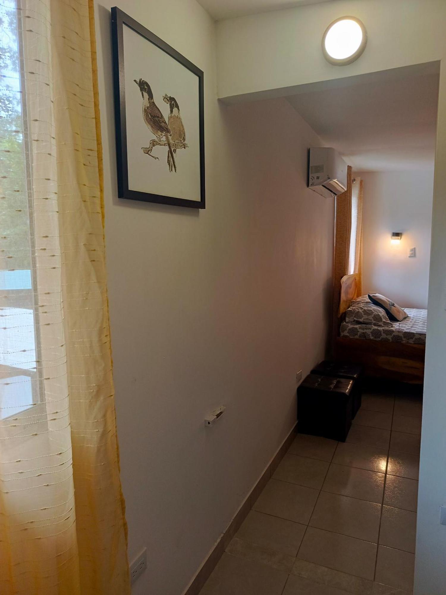 Hotel Boutique D Angelo Manzanillo  Exterior photo